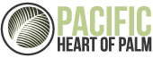 Pacific Heart of Palm